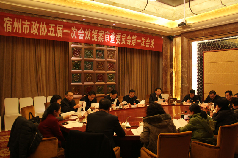 市政协五届一次会议召开提案审查委员会第一次会议.JPG