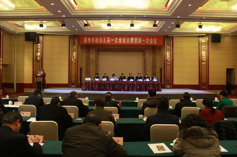 市政协五届一次会议举行主席团第一次会议1.JPG