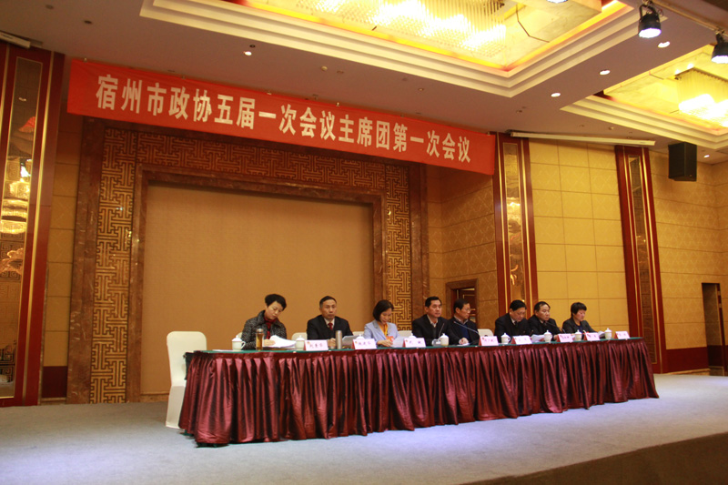 市政协五届一次会议举行主席团第一次会议2.JPG
