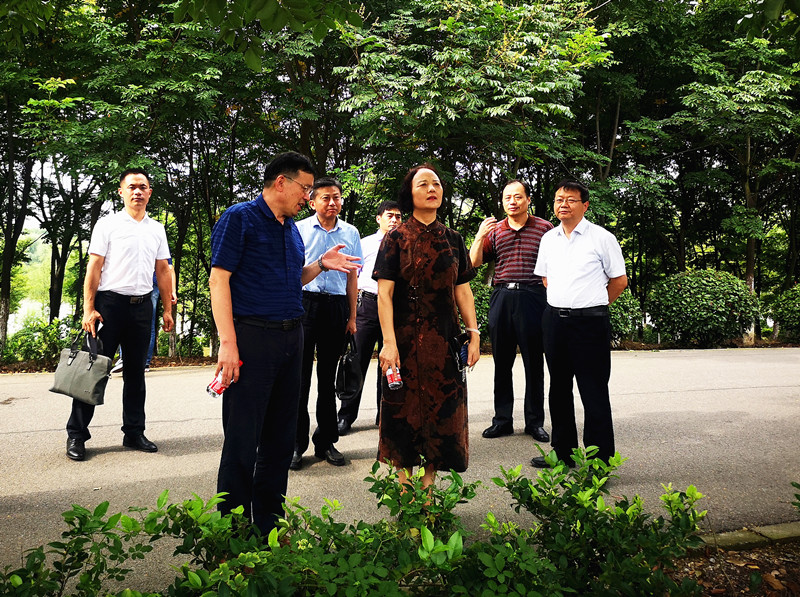 qq图片20200804155804_副本.jpg