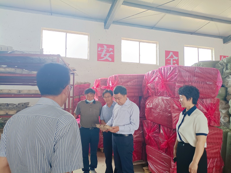 杨主席督导青龙1.jpg