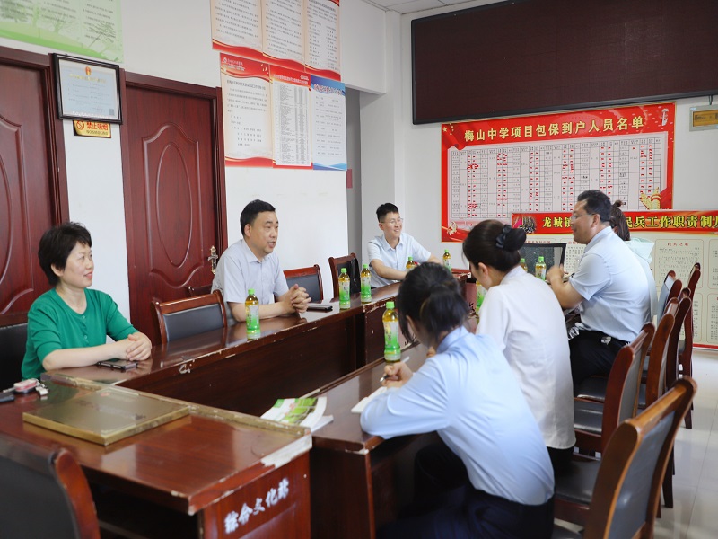 杨主席督导文明创建（瑞龙）.jpg