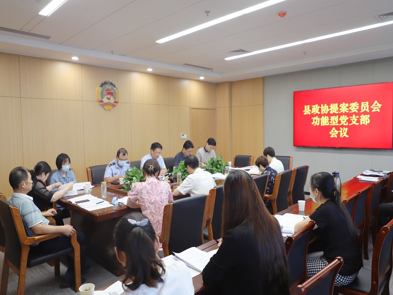 提案委功能型党支部会议 - 副本.jpg