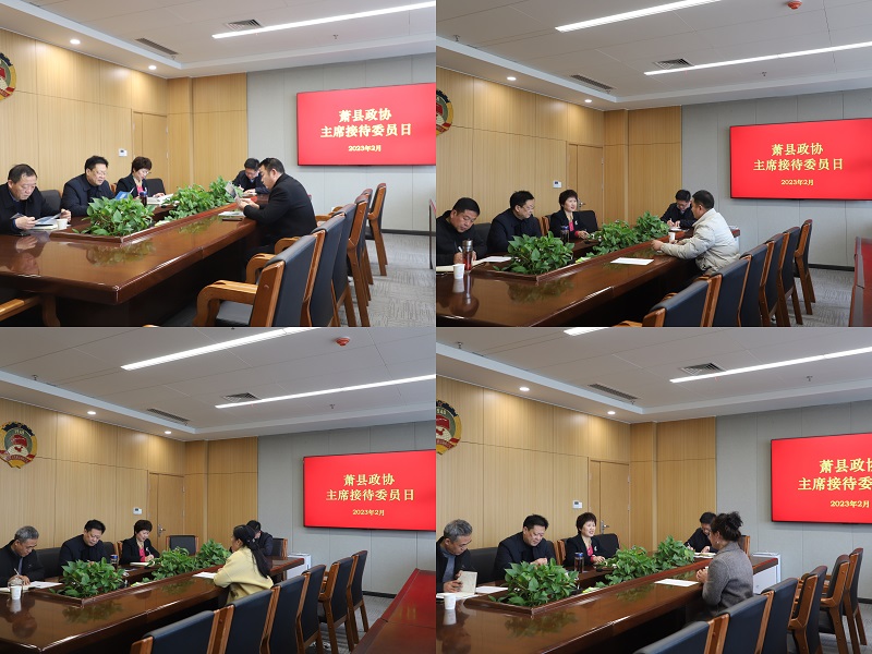 23.2肖主席接待委员.jpg