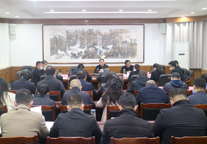 书记提案办理.png