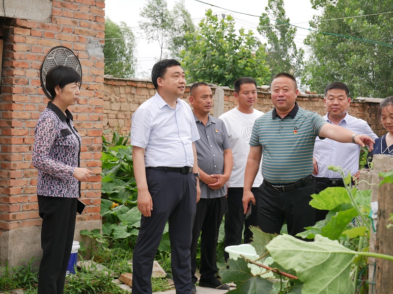 杨主席视察深化党组织领办合作社.jpg