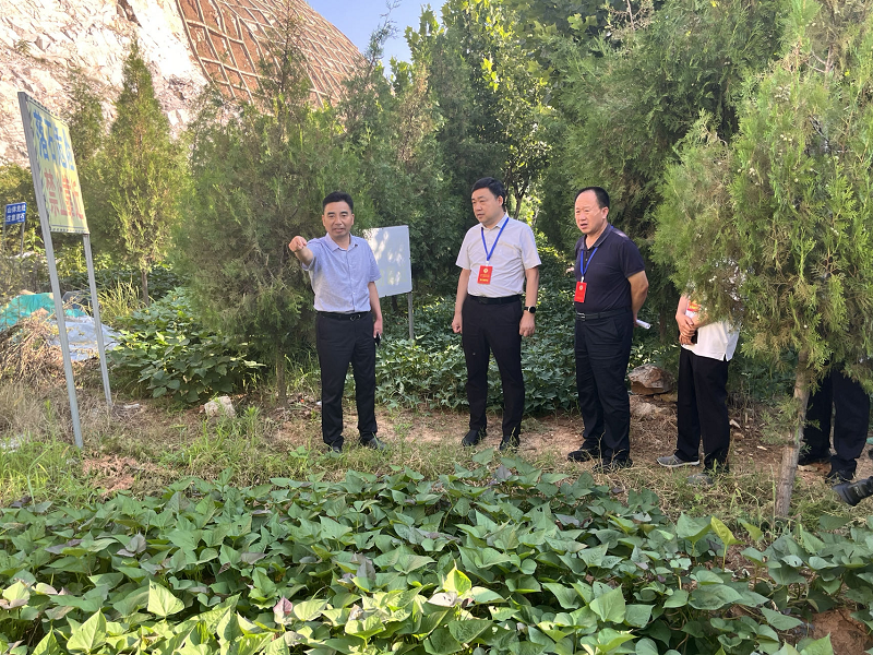 8.10 非煤矿山修复调研 - 副本.png