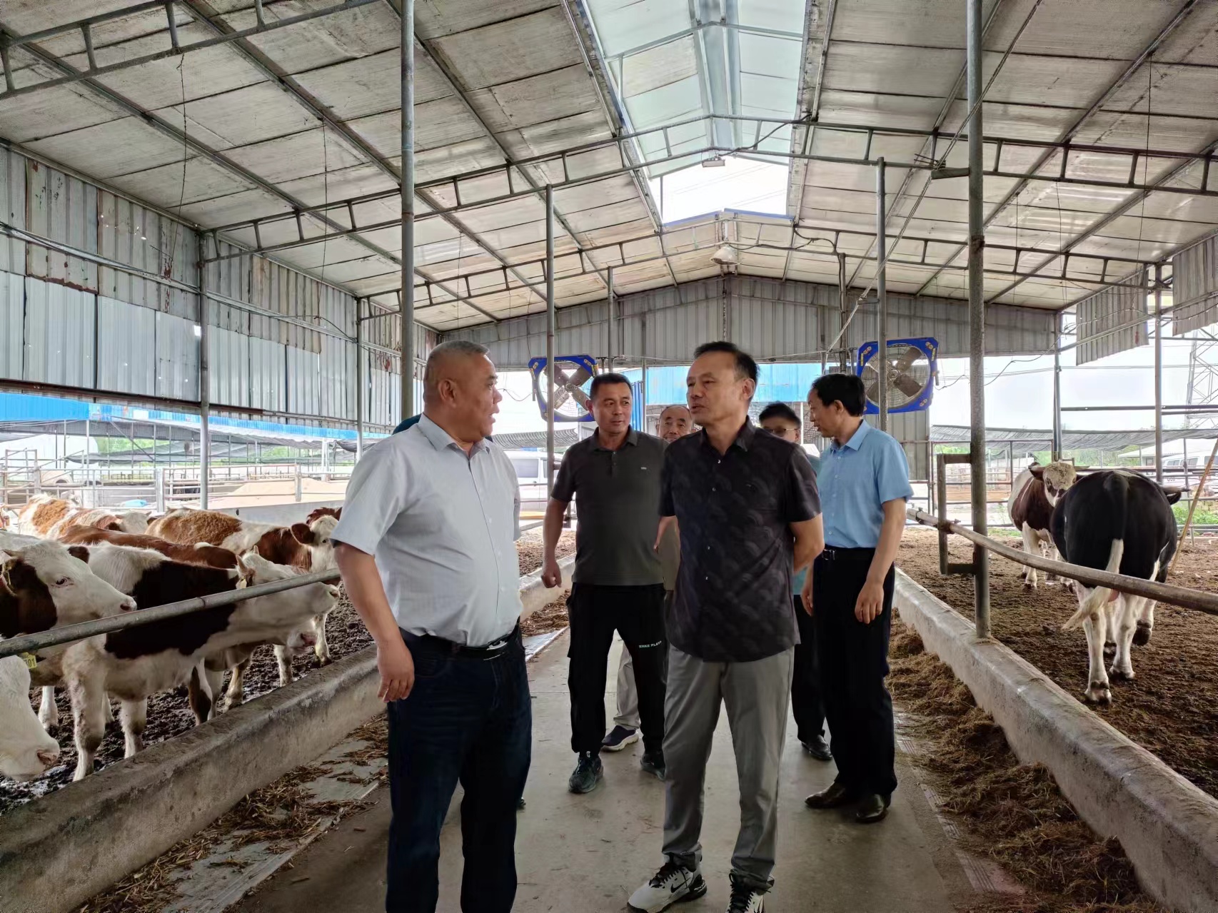 县政协“充分利用秸秆资源 大力发展肉牛产业”对口协商座谈会1.jpg