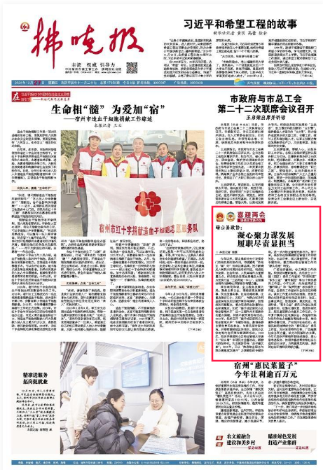 砀山政协综述.jpg
